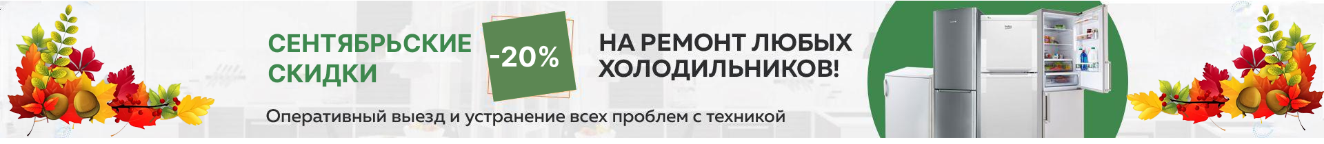 -20% на ремонт холодильников до конца января!